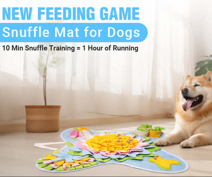 Dog playing with snuffle mat for dogs, engaging in interactive feeding game and foraging activities.