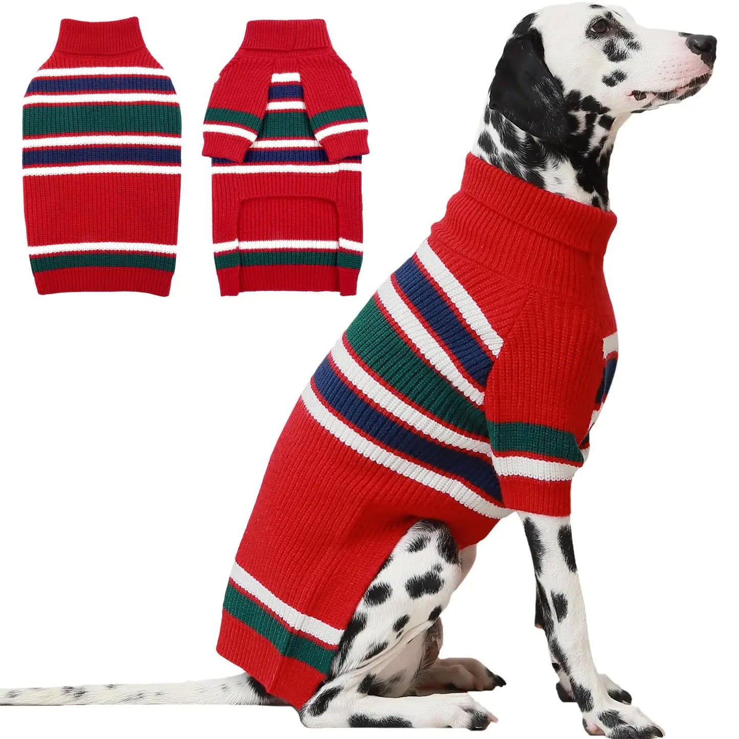 XL dog wearing striped turtleneck sweater standing outdoors