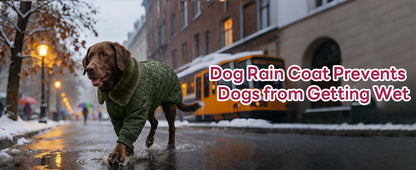 Dog wearing a raincoat walking on a snowy street with text 'Dog Rain Coat Prevents Dogs from Getting Wet'.