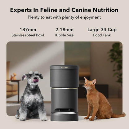 smart pet feeder with vacuum sealing in home kitchen