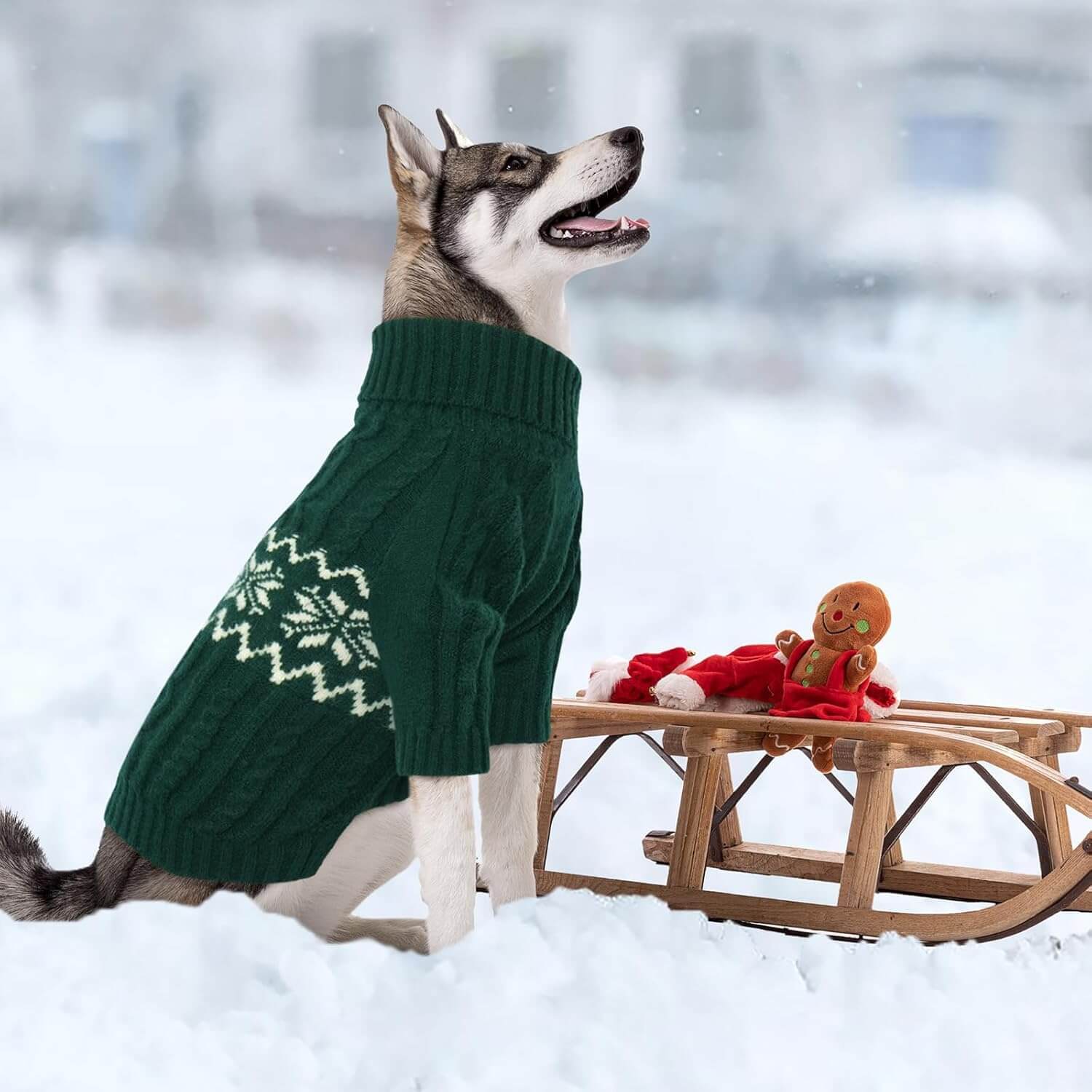 Cable Knit Dog Sweater for Large Dogs XL | Winter Warmth on a dog in snow with sled and holiday decorations.