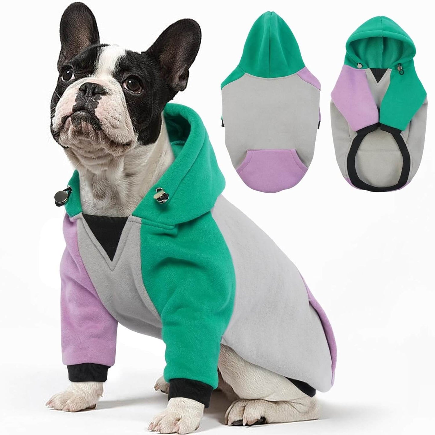 Premium Dog Hoodie with Pocket - Fleece-Lined Pullover on a French Bulldog, showcasing stylish color-blocking design.
