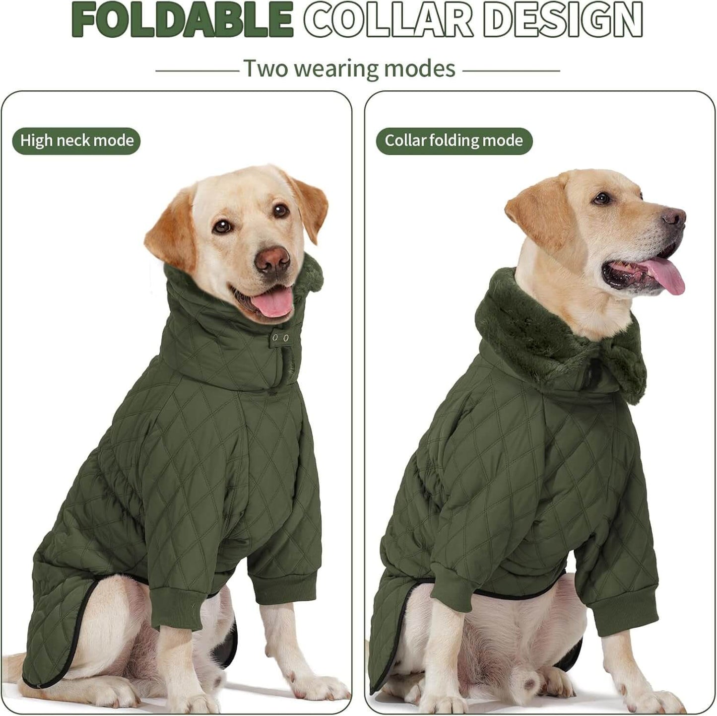 Dog wearing a green quilted coat with two viewing modes on a white background