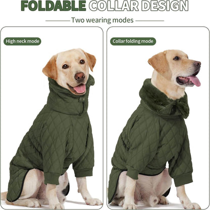 Dog wearing a green quilted coat with two viewing modes on a white background