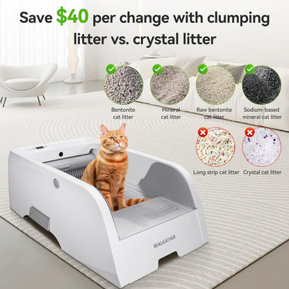 Cat using a litter box with a comparison of different cat litters on a white background