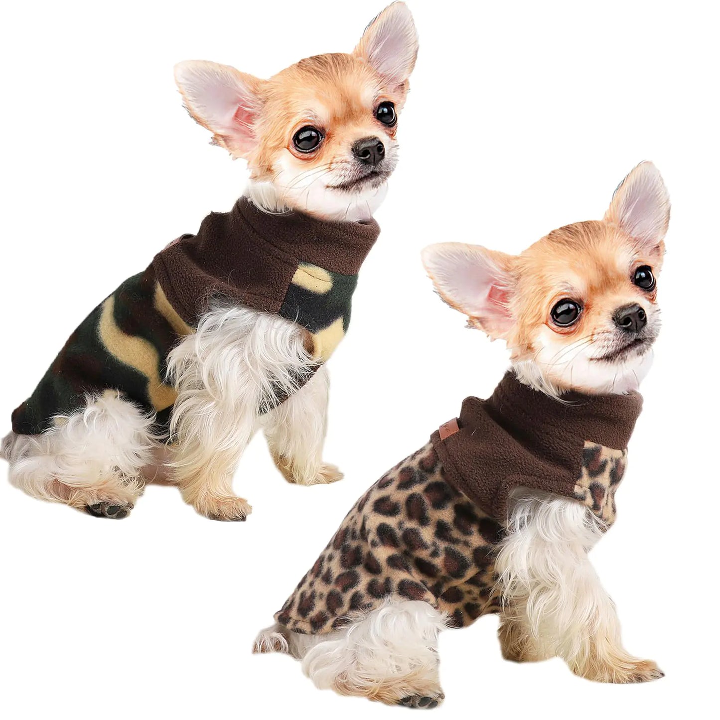 Two small dogs wearing brown sweaters with leopard print patterns on a white background