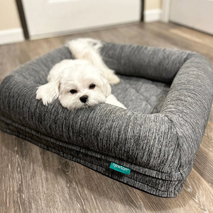 White dog lying on a gray pet bed with 'newton' branding on a wooden floor.