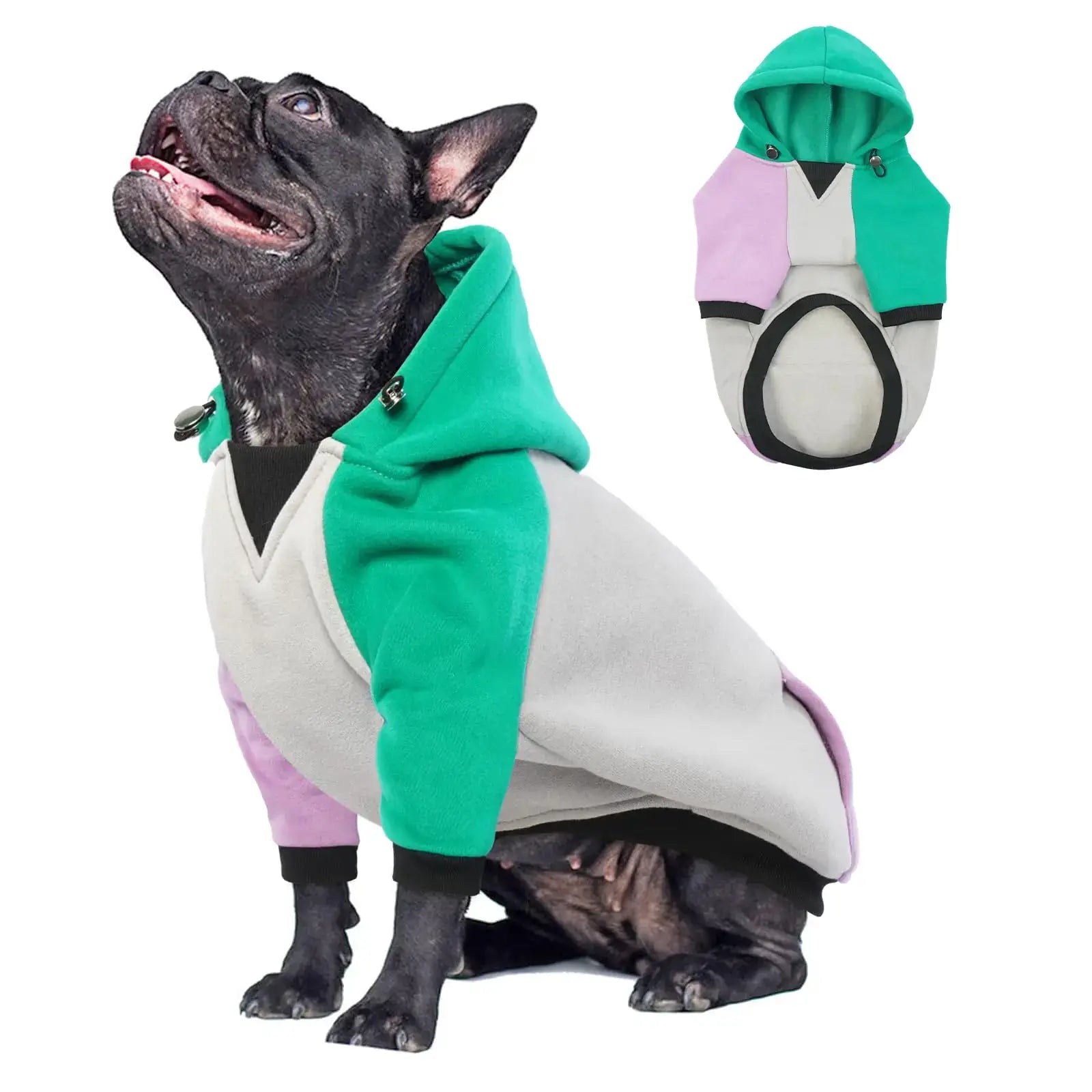 Premium Dog Hoodie with Pocket - Fleece-Lined Pullover on a French Bulldog showing vibrant color-blocking design.