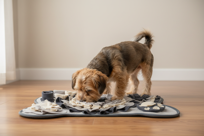 Beagle with snuffle mat - home photo