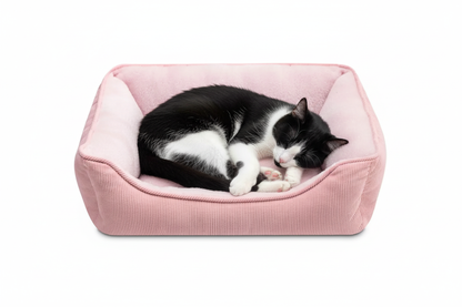 Black & white - clean white background