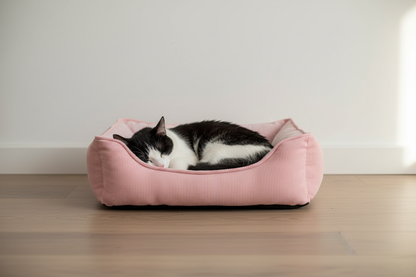 Black & white - home setting