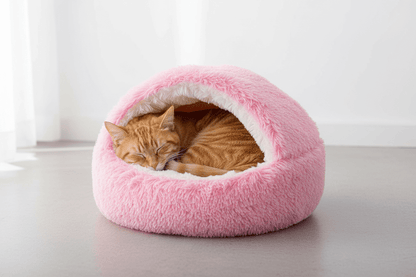 Cat in pink hooded pet bed