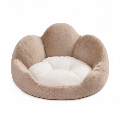 Flower petal cat bed empty on white background