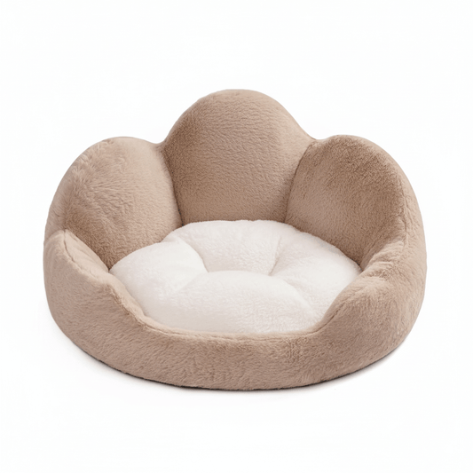 Flower petal cat bed empty on white background