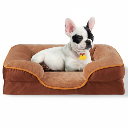 French Bulldog on Brown Bed - Resting