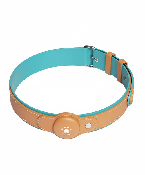 GPS tracker collar - white background