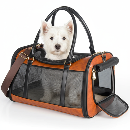 Kalm hondje met gesloten bek in carrier