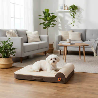 Kleine witte hond in woonkamer