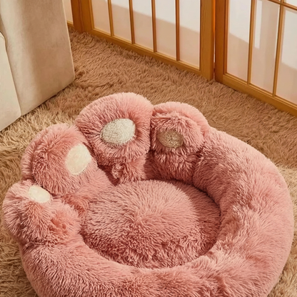 Paw pad detail close-up