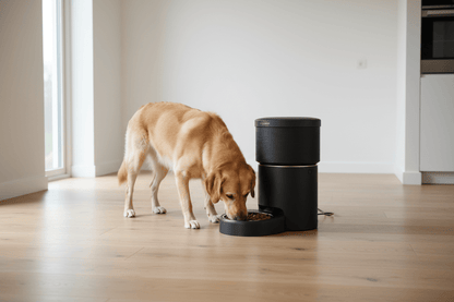 smart pet feeder with dog eating