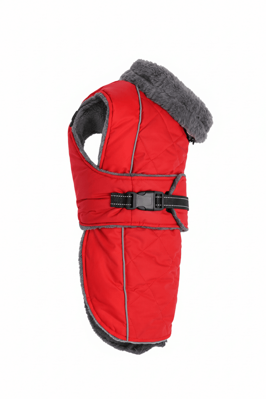 Warm reflective winter dog jacket in bright red color with fur-trimmed turtleneck and adjustable belt.