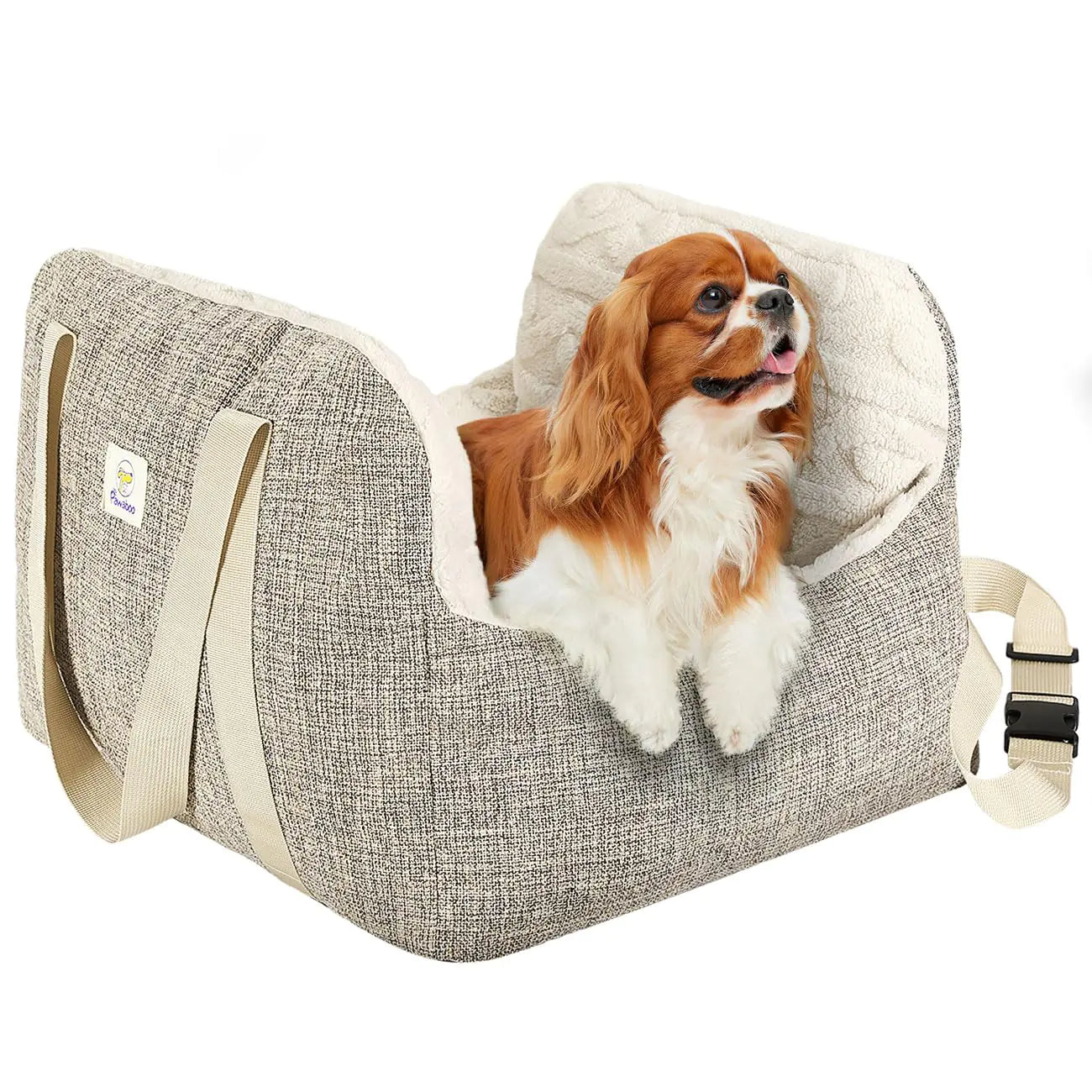 Dog sitting in a gray pet carrier with a white interior