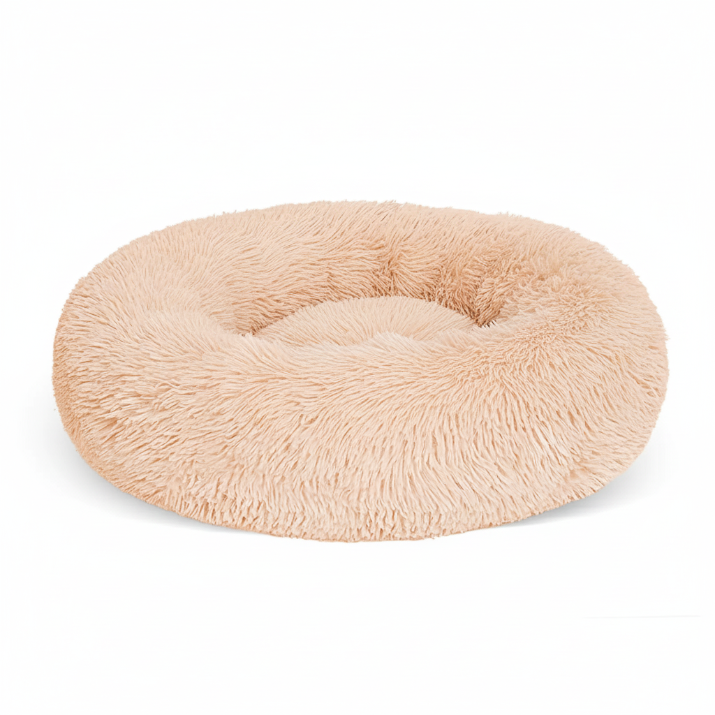 Side Profile Close-Up