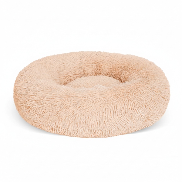 Side Profile Close-Up