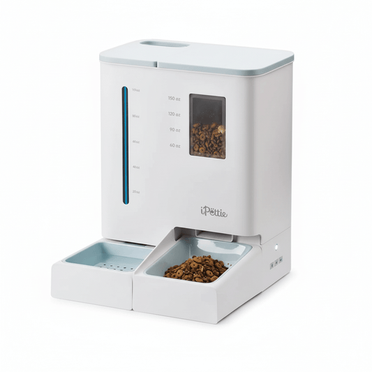 Smart WiFi Pet Feeder Waterer - 2-in-1 feeding solution with gravity water dispenser and automated food storage.