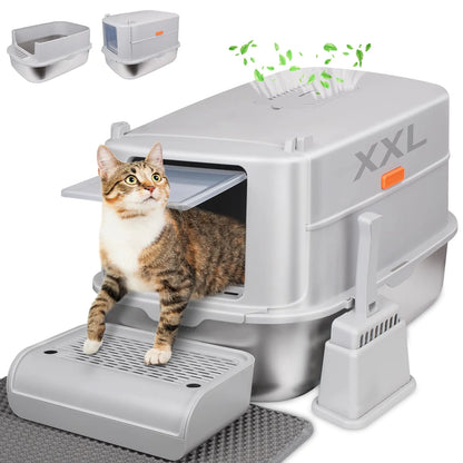 Cat standing on a large gray pet litter box with a smaller inset showing the top part of the litter box.