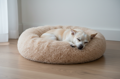 Terrier in beige donut bed