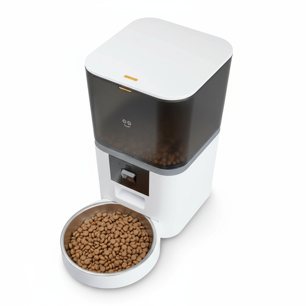 Top-down angled view