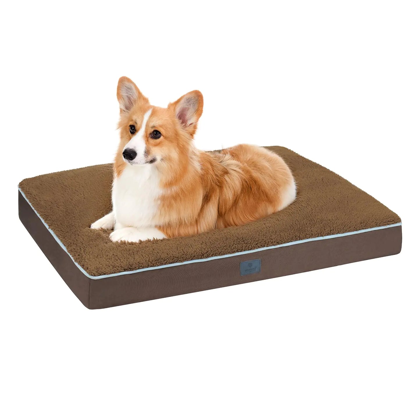 Dog lying on a brown pet bed with a white background