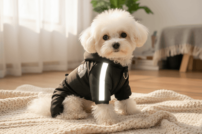 Premium windproof dog jumpsuit on small white dog laying on blanket in sunny room.